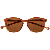 Arroyo Carey Genjibre